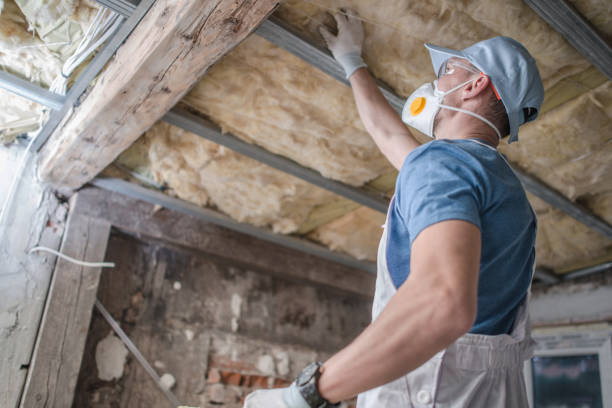 Garage Insulation Installation in Trenton, FL