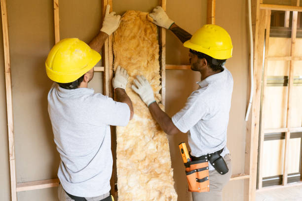 Insulation Repair Services in Trenton, FL